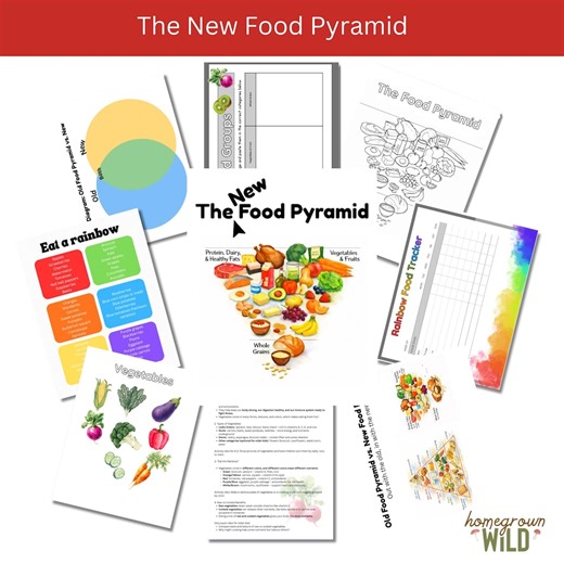 The New 2026 Food Pyramid Unit Study | Health & Body | Nutrition | Vitamins | Minerals - Etsy Australia