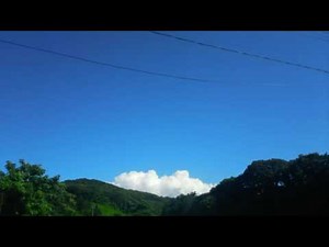 大野靖之 ともだち