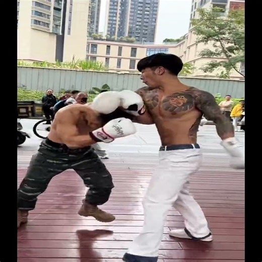 Can a Pro Boxer Survive a No-Rules Street Fight? See What Happens!