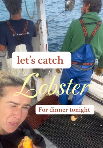 ocean to table for real #fyp #newengland #fishing #food | lobster