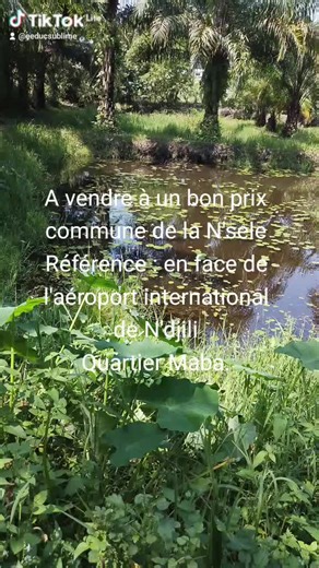 sublimeeduc (@eeducsublime)’s videos with son original - sublimeeduc