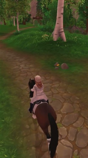 ✨#horse#sso#racing#starstableonline