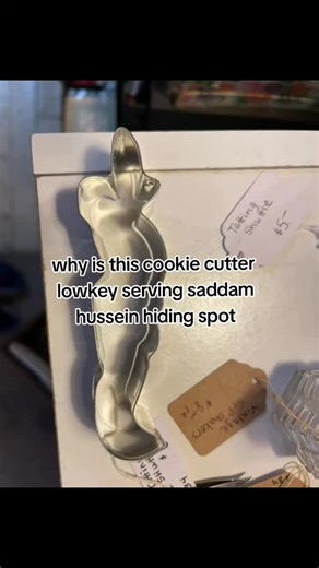 Lymafi Rides | Nova 🏍️ (@lymafi_rides)’s videos with original sound - Lymafi Rides | Nova 🏍️