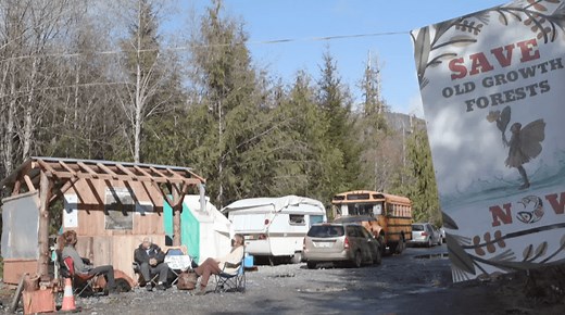 Company wins injunction to go ahead with logging in Fairy Creek watershed on Vancouver Island