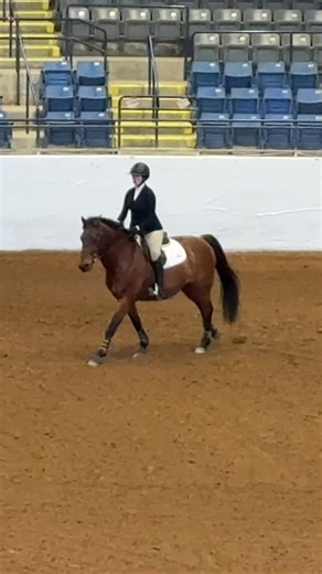 miles was amazing in the team o/f at zonessa!! full round excluding me embarrassing myself!! i tried to correct straightness to jump 6 and bend it out to give us more time for the quiet one but i was too harsh asking so miles thought i wanted to circle😞 not every horse is as dull as mine and i gotta adjust to that better haha. he was the most perfect boy ever, such a fun draw!! congrats to everyone on the team i love you guys💗💗💗