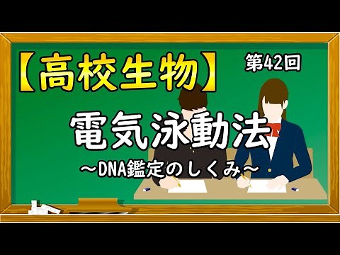 High School Biology [42nd Electrophoresis ~How DNA Identification Works~] Online High School Class