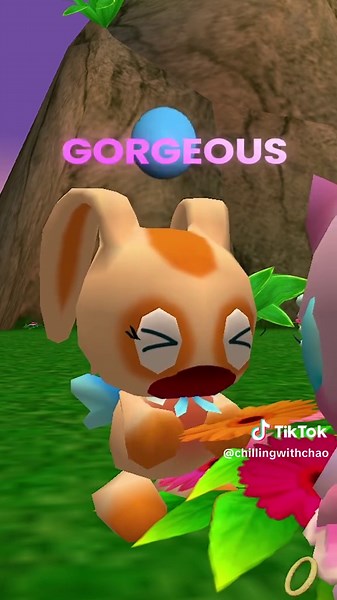 How to Make a Chaos Chao in Sonic Games