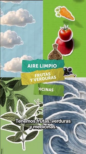 ¿Qué es la Biodiversidad?