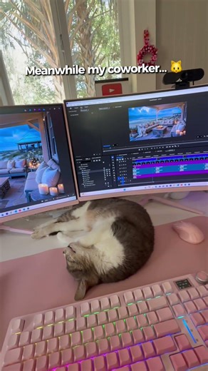 Can you believe she's asleep on the job? The content is TOO cozy! #behindthescenes #ambience