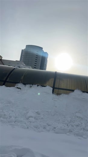 S🇧🇷 (@joydefoe)’s videos with zzz - 60 juno