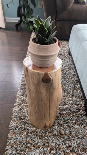 Red Cedar Stump Side Table: Rustic Live Edge Plant Stand - Etsy UK