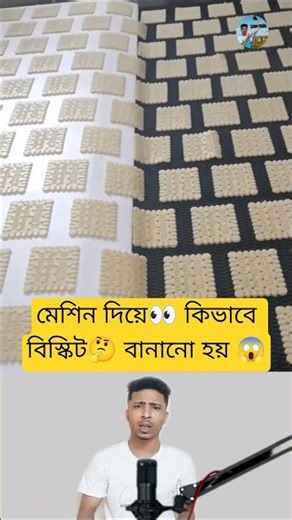 The Biscuit Making Machine Process