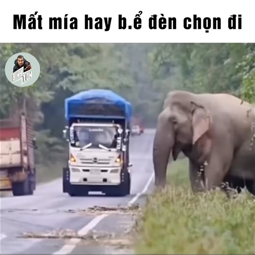 129K views · 1.7K reactions | Vua bản đôn :v | Review Plus | Facebook