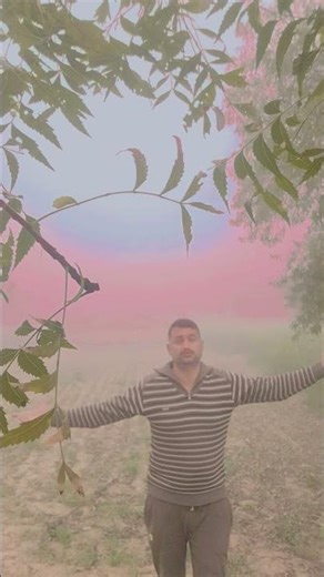 is pyar say meri taraf na dekho #trendingshorts #viral #funny #sombirfojishorts #ytshorts