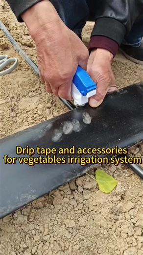 Efficient Drip Irrigation System with Drip Tape and Valves
