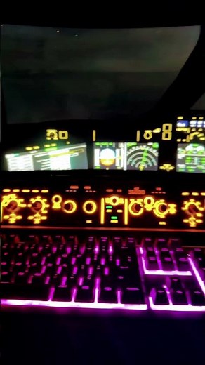 Dream flight setup ❤️ flight simulator