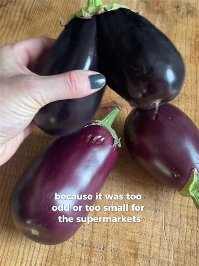 12K views · 11 reactions | Feeding your family their five-a-day becomes a lot easier with a weekly delivery of fresh, tasty fruit and veg. Funny, that. Plus, with pick-your-own boxes, you’re in charge of what you rescue, whether it’s surplus spuds or dinky apples. It’s healthy eating, with a side of doing good. | Oddbox | Facebook