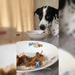 90K views · 1.7K reactions | ‘BUMILI KA KASI NG SAYO’ 領 WATCH: Sky,...