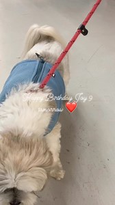 1.1K views · 20 reactions | Direct Pets - Berwick Upon Tweed on Reels | Facebook