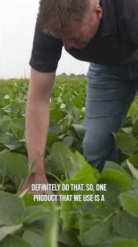 Reducing the stress on a plant is extremely important.