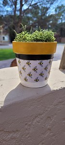 Hand Painted Terracotta Planter: Bumble Bee Design, 4-Inch Pot