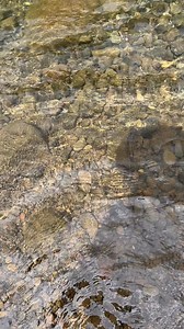 802K views · 13K reactions | 若 #davaolaagguide | Davao Laag Guide | Facebook