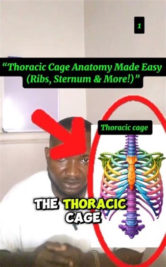Master the Thoracic Cage FAST (Anatomy Simplified!)