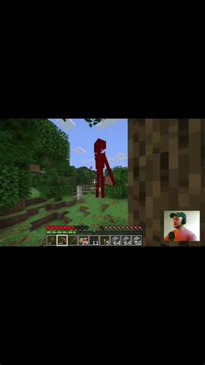 First Time Enderman Experience #minecraft #enderman #jumpscare #gaming #firsttime