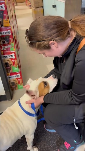 Yall, I’m so happy! Monica was one of our longest residents at The City of Mobile Animal Services, 6 MONTHS in a cement kennel and you could tell she was giving up hope. Well we posted her yesterday and yall shared her, one of your shares reached an amazing lady in Slidell, Louisiana who drone all the way here to foster this girl. After 6 months, YOUR shares got her into a home within 24 hours!! Well done, what a great effort by everyone!! Her she is meeting her new foster mum and saying goodbye