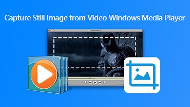 Windows Media Player屏幕截图的具体指南