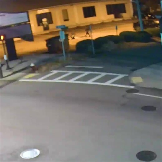 THREE SUSPECTS CHARGED IN VIOLENT ASSAULT AND ROBBERY FOR IMMEDIATE RELEASE MONDAY DECEMBER 29th 2025 MILFORD — On Saturday November 29, 2025, at approximately 3:20AM, the Milford Public Safety Communications received an emergency call for a possible fight in progress near East Main Street and Middleton Street. On arrival, officers located a 21-year-old-male with injuries to his face. The victim reported he had been assaulted and robbed by multiple assailants. As a result of the investigation by