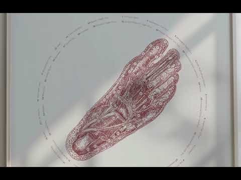 Reflexology Sole – Vintage Anatomy Chart from www.educare.design