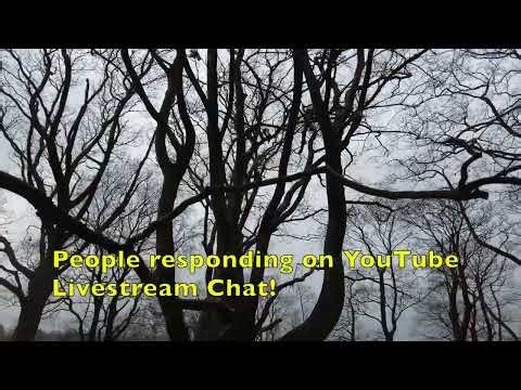 Devil's Wood Prehistoric Burial Mound: 5000 Years Into Scotland's Distant Past!