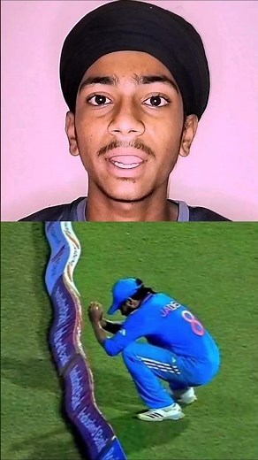 What is a Fair Catch in Cricket? 🤔🏏 | Cricket Rules #cricketshorts