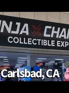 Ninja X Change Collectible Expo!