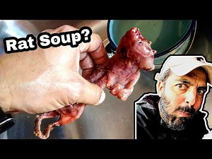 Field RAT Soup!! - Tradittional Mexican Food - Delicious Mexican Recipe & TASTE TEST