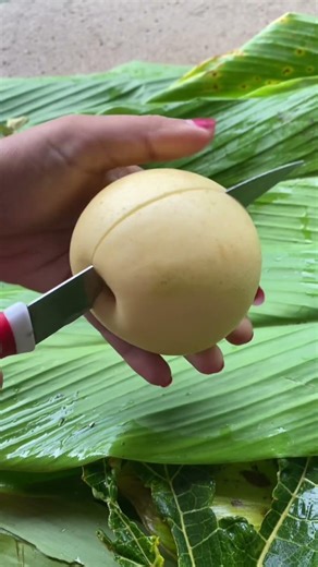 Buah Pir Madu #buahpir