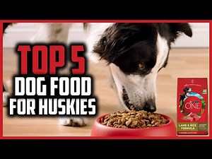 ✅ Top 5 Best Dog Foods For Huskies of 2024
