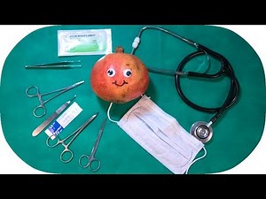 👩🏼‍⚕️ ASMR SURGERY On A POMEGRANATE RP *satisfying*