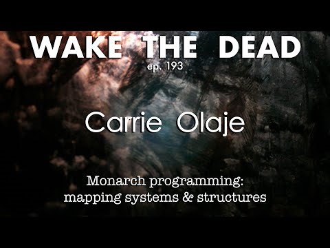 WTD ep.193 Carrie Olaje 'Monarch Programming: mapping systems & structures'
