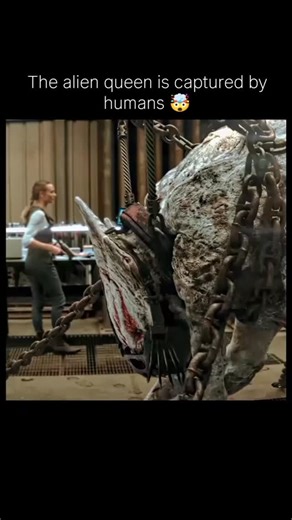 Junooze Buddy on Instagram: "🎬 The Tomorrow War (2021) “Time travel. Alien invasion. One last chance to save humanity. 🌍⚔️ When the future calls, will you answer? ⏳🔥 About the Movie: 🧠 Genre: Sci-Fi, Action, Thriller 🎭 Starring: Chris Pratt, Yvonne Strahovski 📖 Story: Soldiers from the future travel back in time to recruit people from the present to fight a deadly alien species threatening human extinction. High stakes, emotional moments, and nonstop action 🚀👽 Where to Watch: 📺 Amazon P