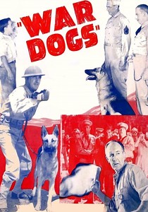 War Dogs streaming: where to watch movie online?