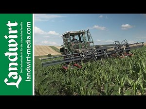 Mulching instead of hoeing | landwirt-media.com