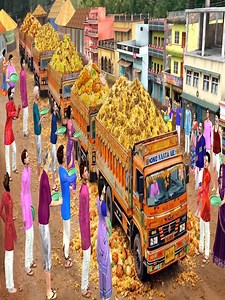 Biryani Trucks Chicken Mutton Biryani Famous Street Food Trucks 📹🎥📷 | Famous Indian Stories English