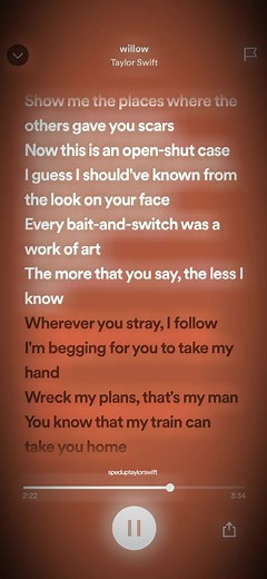 Taylor Swift 'Willow' Lyrics Video Presentation