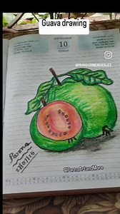 How to draw guava fruit ?? #guava #guavafruit #realisticart #drawing #artwork #easydrawing #howtodraw #stepbystep | Parna Art and More