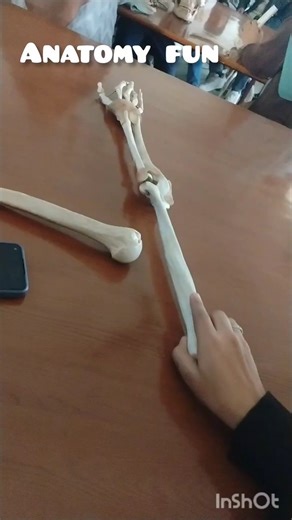 Anatomy fun 🤣#shortclips #comedy#funny #biomedical#doctor #aimsindia