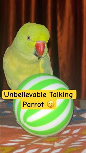 Ye tota 😂|| Cute Talking Parrot Video #parrot #talking