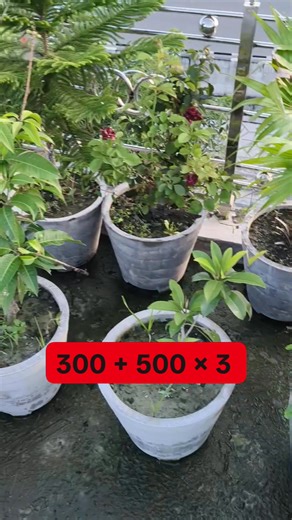 6.9K views · 88 reactions | Solve it Mat Test Solution for | Learn And Solve | Facebook