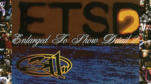 311: Enlarged to Show Detail 2